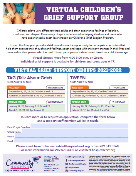 Virtual Children's Grief  Support  Group