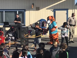 LWIS Safety Assembly