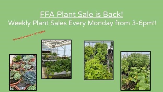 Plant Sale