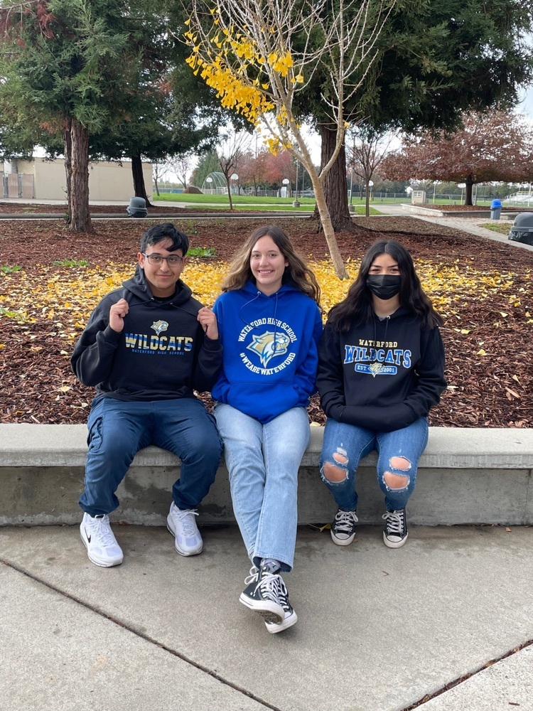 3 different sweatshirt options