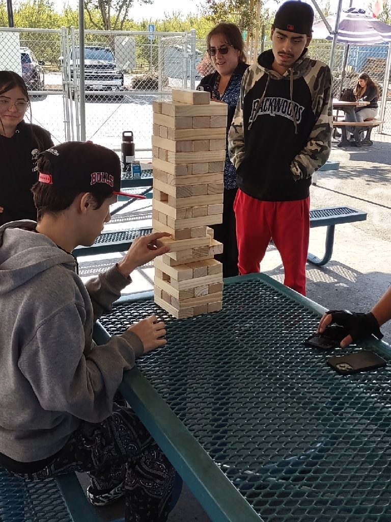 jenga2