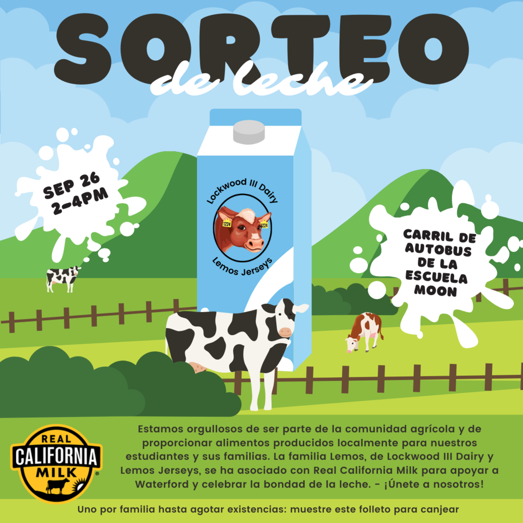 sorteo